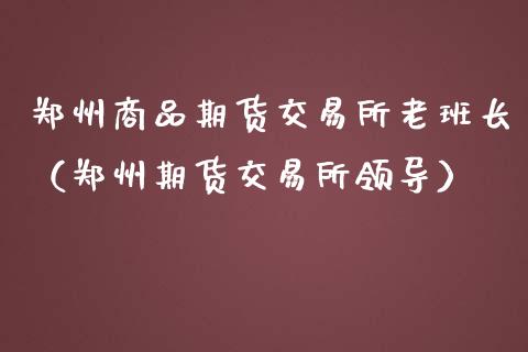 郑州商品期货交易所老班长（郑州期货交易所领导）_https://m.jnbaishite.cn_金融市场_第1张