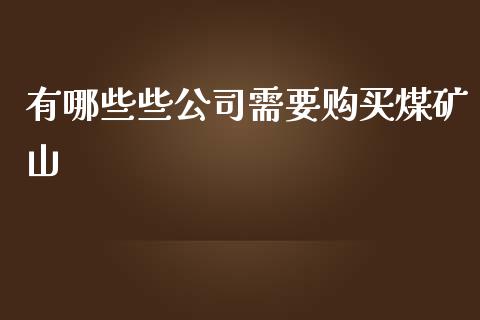 有哪些些公司需要购买煤矿山_https://m.jnbaishite.cn_财经新闻_第1张