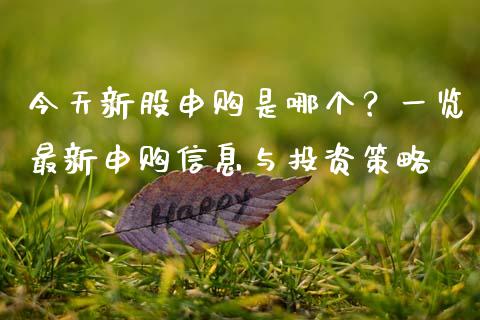 今天新股申购是哪个？一览最新申购信息与投资策略_https://m.jnbaishite.cn_期货研报_第1张