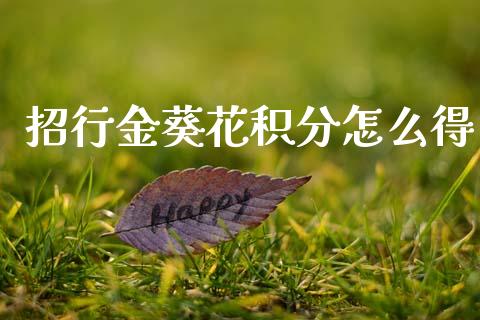 招行金葵花积分怎么得_https://m.jnbaishite.cn_财经新闻_第1张