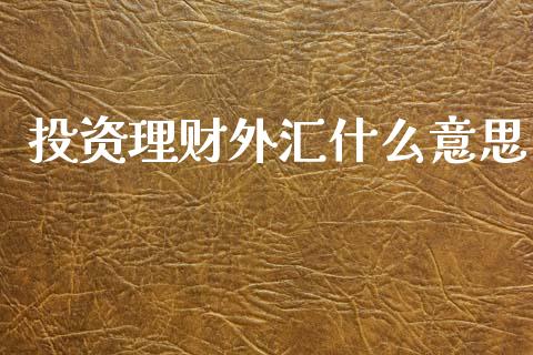 投资理财外汇什么意思_https://m.jnbaishite.cn_期货研报_第1张