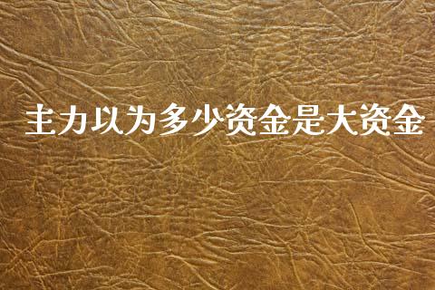 主力以为多少资金是大资金_https://m.jnbaishite.cn_金融市场_第1张