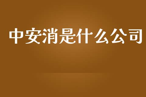 中安消是什么公司_https://m.jnbaishite.cn_期货研报_第1张