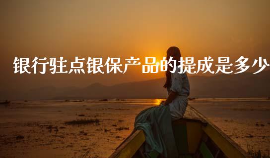 银行驻点银保产品的提成是多少_https://m.jnbaishite.cn_财经新闻_第1张