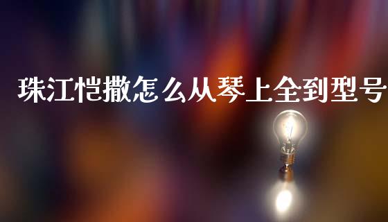 珠江恺撒怎么从琴上全到型号_https://m.jnbaishite.cn_金融市场_第1张