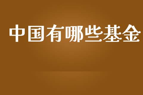 中国有哪些基金_https://m.jnbaishite.cn_金融市场_第1张