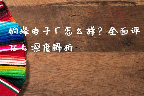 铜峰电子厂怎么样？全面评估与深度解析_https://m.jnbaishite.cn_期货研报_第1张