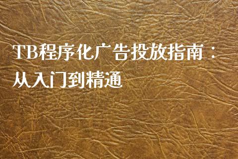 TB程序化广告投放指南：从入门到精通_https://m.jnbaishite.cn_投资管理_第1张