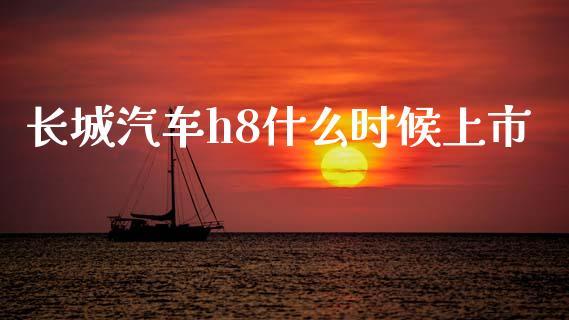 长城汽车h8什么时候上市_https://m.jnbaishite.cn_投资管理_第1张