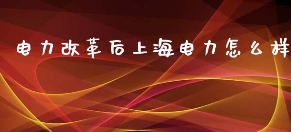 电力改革后上海电力怎么样_https://m.jnbaishite.cn_期货研报_第1张