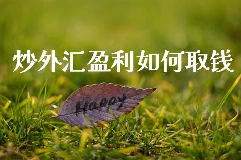 炒外汇盈利如何取钱_https://m.jnbaishite.cn_投资管理_第1张