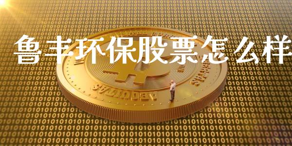 鲁丰环保股票怎么样_https://m.jnbaishite.cn_财经新闻_第1张