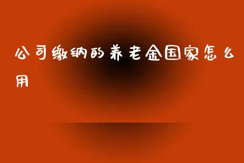 公司缴纳的养老金国家怎么用_https://m.jnbaishite.cn_投资管理_第1张