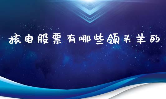 核电股票有哪些领头羊的_https://m.jnbaishite.cn_金融市场_第1张