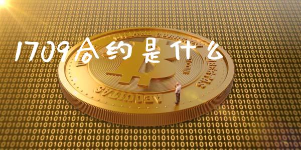 1709合约是什么_https://m.jnbaishite.cn_金融市场_第1张