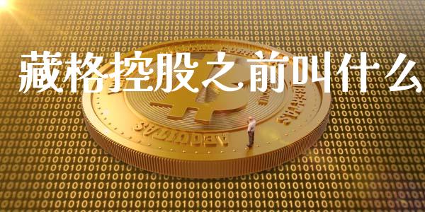 藏格控股之前叫什么_https://m.jnbaishite.cn_金融市场_第1张