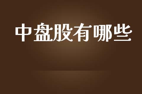 中盘股有哪些_https://m.jnbaishite.cn_金融市场_第1张