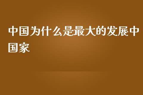 中国为什么是最大的发展中国家_https://m.jnbaishite.cn_金融市场_第1张