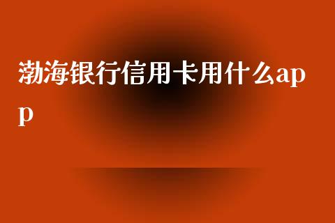 渤海银行信用卡用什么app_https://m.jnbaishite.cn_金融市场_第1张