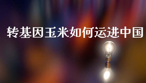 转基因玉米如何运进中国_https://m.jnbaishite.cn_期货研报_第1张