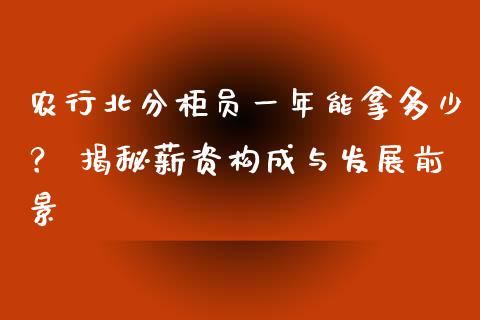 农行北分柜员一年能拿多少？ 揭秘薪资构成与发展前景_https://m.jnbaishite.cn_金融市场_第1张
