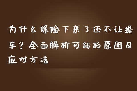 为什么保险下来了还不让提车？全面解析可能的原因及应对方法_https://m.jnbaishite.cn_期货研报_第1张
