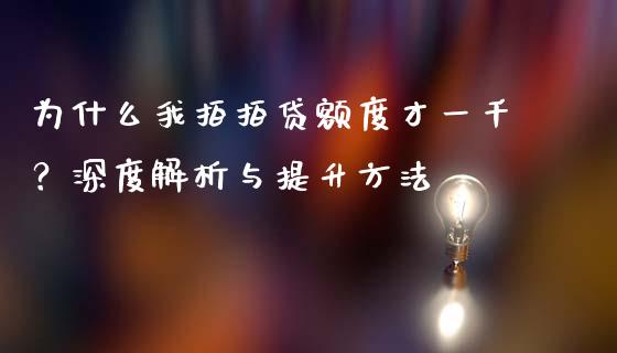 为什么我拍拍贷额度才一千？深度解析与提升方法_https://m.jnbaishite.cn_期货研报_第1张