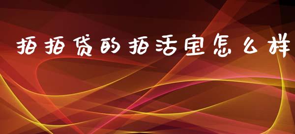 拍拍贷的拍活宝怎么样_https://m.jnbaishite.cn_投资管理_第1张