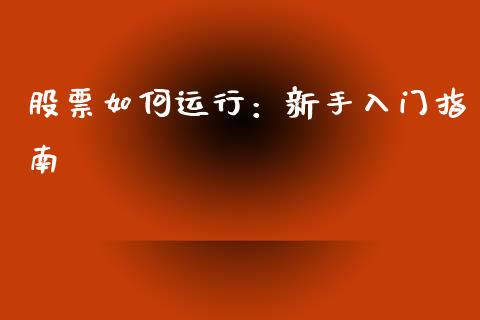 股票如何运行：新手入门指南_https://m.jnbaishite.cn_财经新闻_第1张