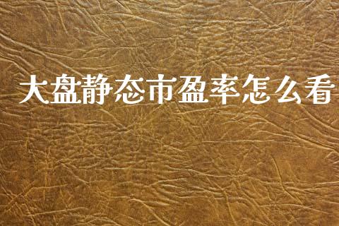 大盘静态市盈率怎么看_https://m.jnbaishite.cn_期货研报_第1张