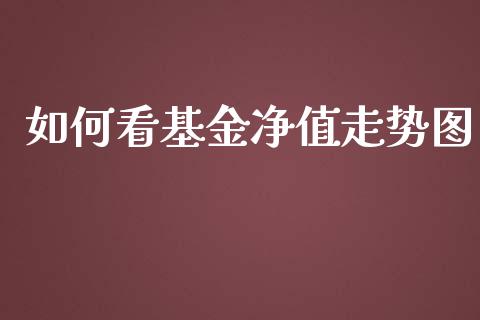 如何看基金净值走势图_https://m.jnbaishite.cn_投资管理_第1张