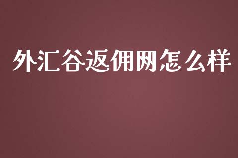 外汇谷返佣网怎么样_https://m.jnbaishite.cn_金融市场_第1张