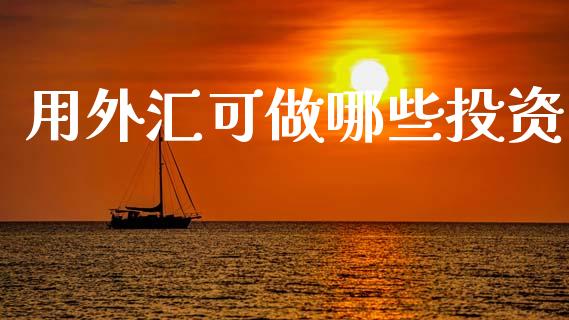 用外汇可做哪些投资_https://m.jnbaishite.cn_财经新闻_第1张
