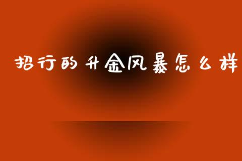 招行的升金风暴怎么样_https://m.jnbaishite.cn_金融市场_第1张