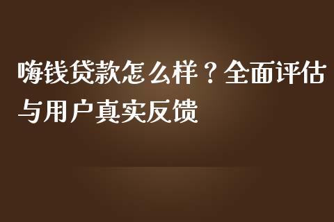 嗨钱贷款怎么样？全面评估与用户真实反馈_https://m.jnbaishite.cn_金融市场_第1张