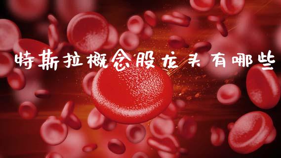 特斯拉概念股龙头有哪些_https://m.jnbaishite.cn_财经新闻_第1张