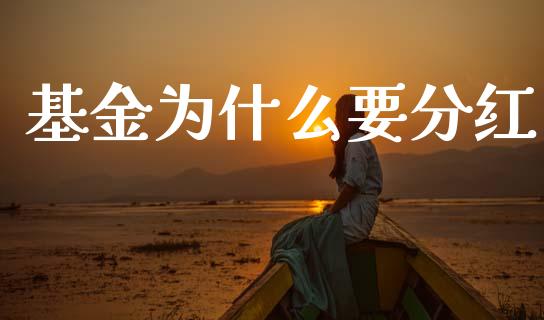 基金为什么要分红_https://m.jnbaishite.cn_投资管理_第1张