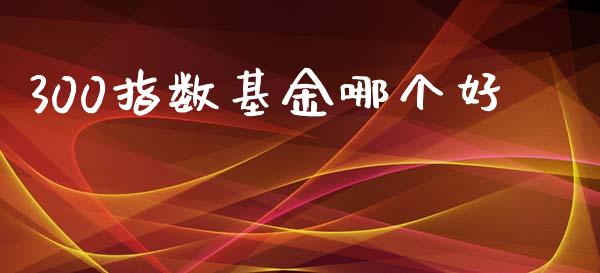 300指数基金哪个好_https://m.jnbaishite.cn_金融市场_第1张