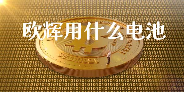 欧辉用什么电池_https://m.jnbaishite.cn_金融市场_第1张