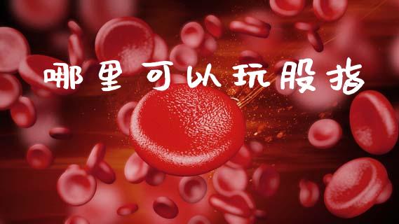 哪里可以玩股指_https://m.jnbaishite.cn_期货研报_第1张