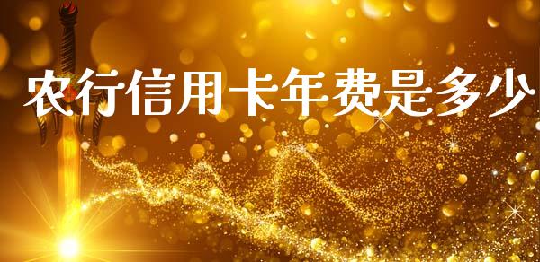 农行信用卡年费是多少_https://m.jnbaishite.cn_期货研报_第1张