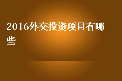 2016外交投资项目有哪些_https://m.jnbaishite.cn_期货研报_第1张