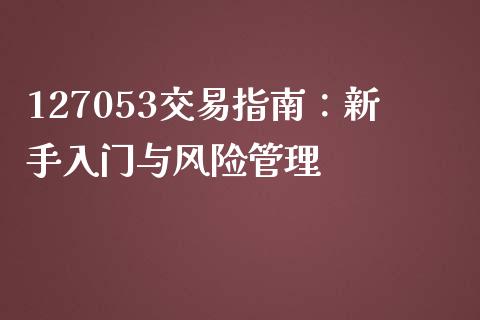 127053交易指南：新手入门与风险管理_https://m.jnbaishite.cn_金融市场_第1张