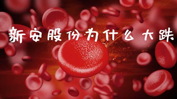 新安股份为什么大跌_https://m.jnbaishite.cn_财经新闻_第1张