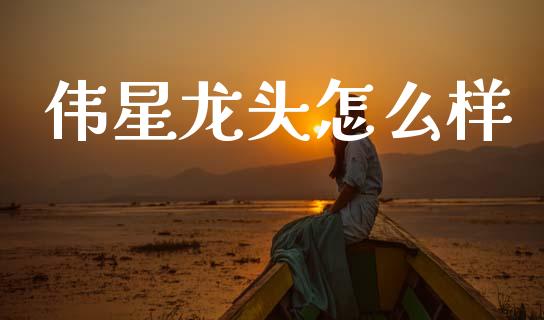 伟星龙头怎么样_https://m.jnbaishite.cn_投资管理_第1张