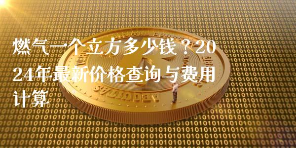 燃气一个立方多少钱？2024年最新价格查询与费用计算_https://m.jnbaishite.cn_财经新闻_第1张