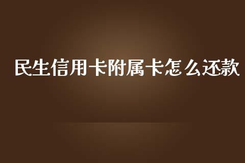 民生信用卡附属卡怎么还款_https://m.jnbaishite.cn_投资管理_第1张