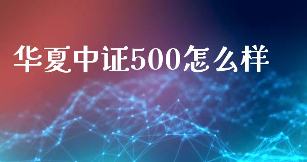 华夏中证500怎么样_https://m.jnbaishite.cn_金融市场_第1张