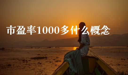 市盈率1000多什么概念_https://m.jnbaishite.cn_金融市场_第1张