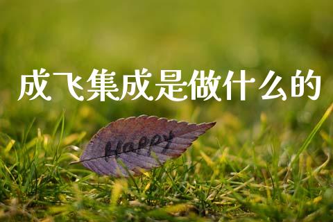 成飞集成是做什么的_https://m.jnbaishite.cn_投资管理_第1张